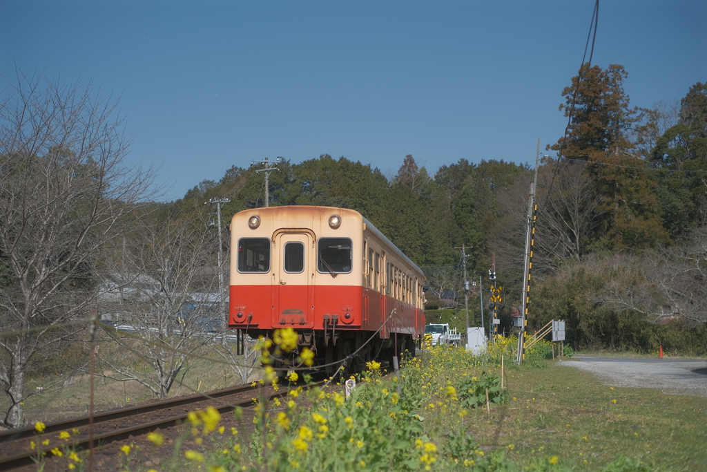 春色の汽車に乗って...〜3