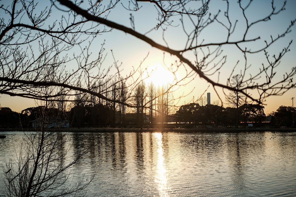 夕焼けと公園の風景12