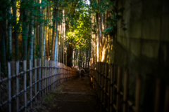 『ひよどり坂』〜1