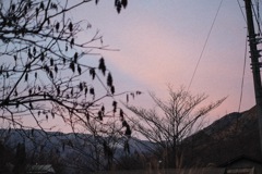 冬旅6