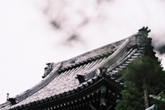 葛飾 柴又 秋 8