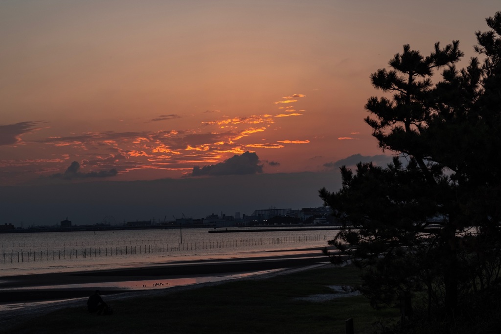 三番瀬の夕陽13