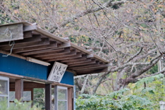 小湊鐵道の秋6