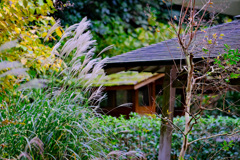 鎌倉より〜秋の風景-3