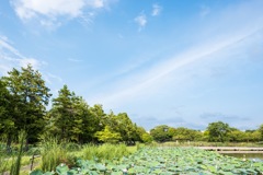 公園の空