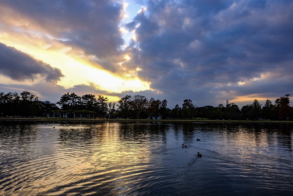 三郷公園にて1