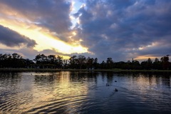 三郷公園にて1