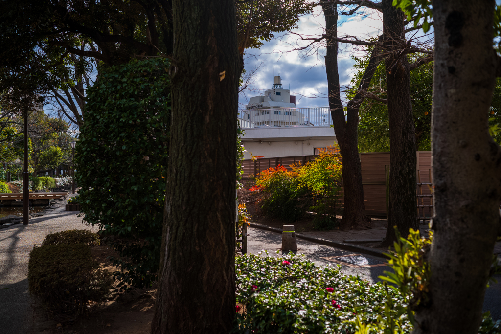 続、冬の散歩道〜7