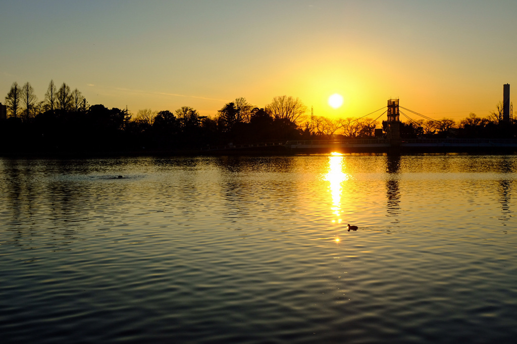 夕焼けと公園の風景4