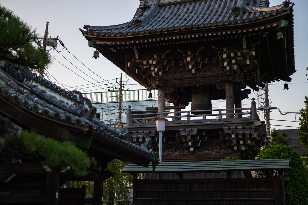 柴又帝釈天にて7