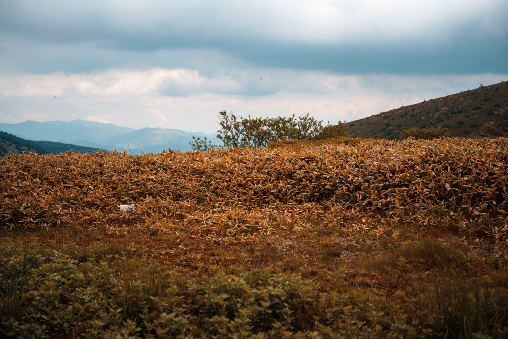 白根山-1