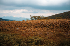 白根山-1