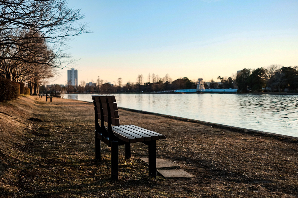 夕焼けと公園の風景1