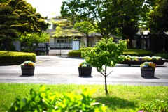 陽のあたる公園