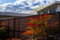 続、冬の散歩道〜3