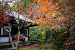 冬の鎌倉、散歩道。〜18