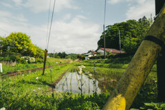 里山の旅-5