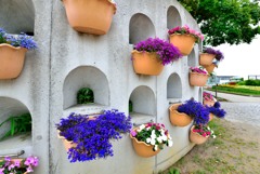 花の壁