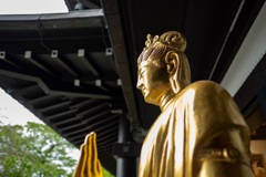 鎌倉散歩7