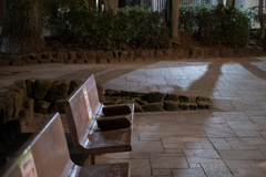 夜散歩2