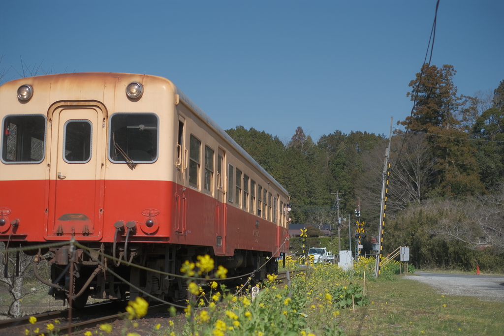 春色の汽車に乗って 1 By ルーディ Id 写真共有サイト Photohito