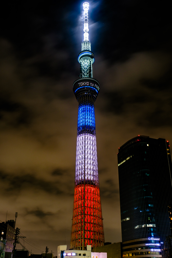 トリコロールカラー
