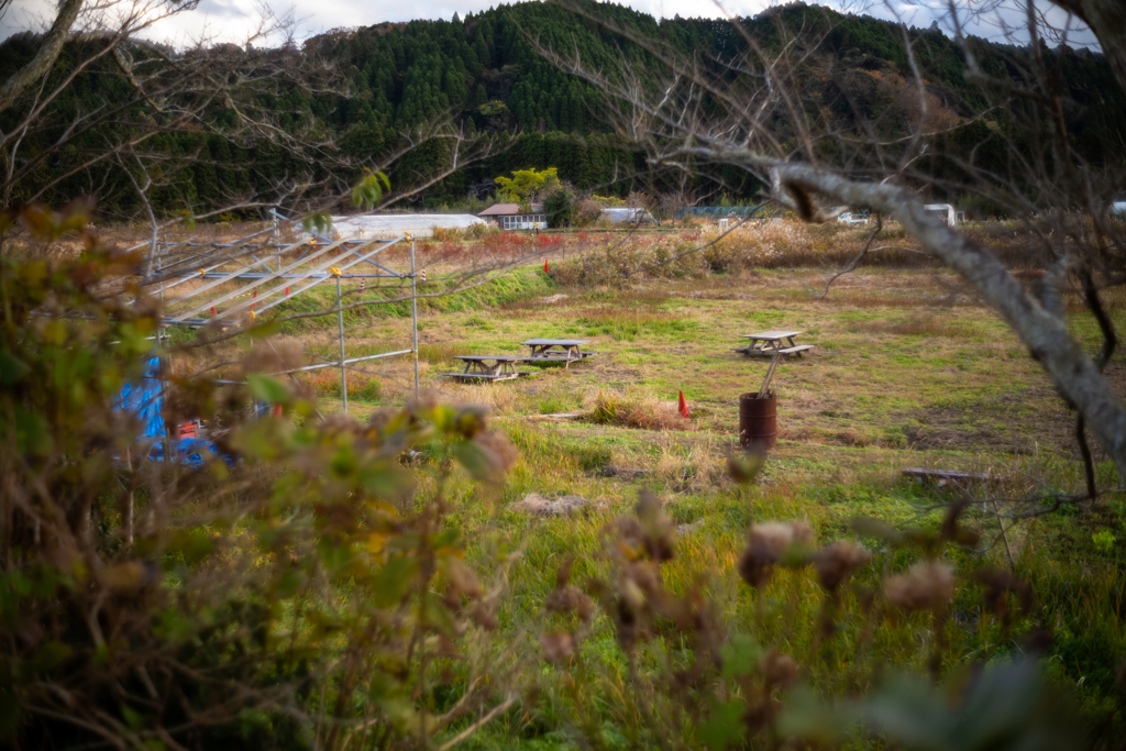 がんばれ、いすみ鉄道〜4