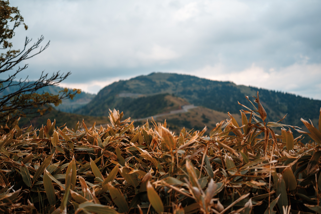 白根山-2