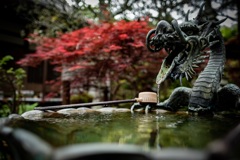 鎌倉散歩20