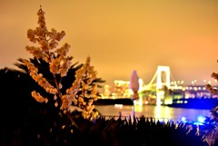 光る橋