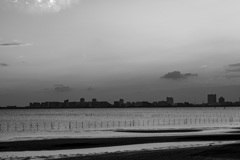 三番瀬の夕陽12