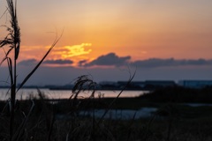 三番瀬の夕陽10