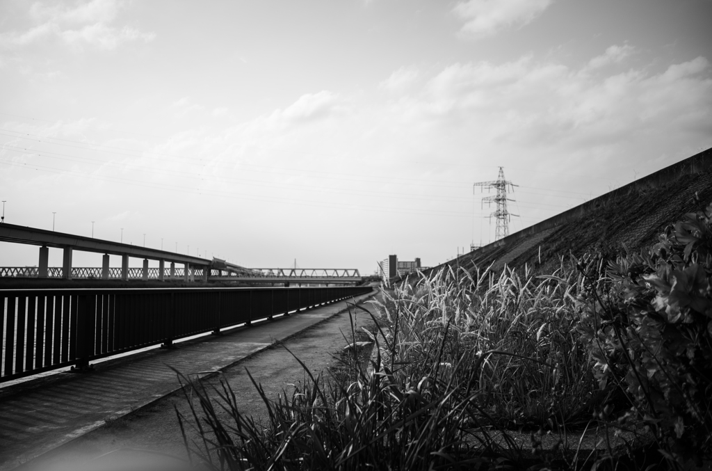 河川敷散歩-8