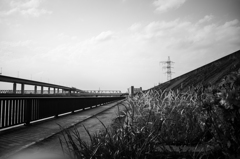 河川敷散歩-8