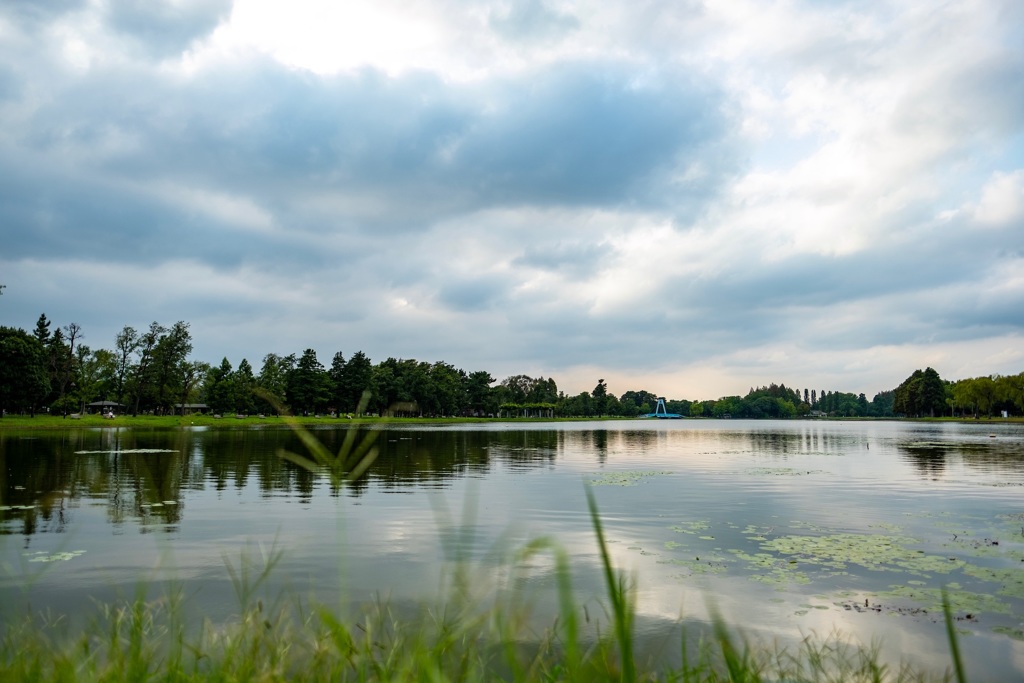たそがれの公園