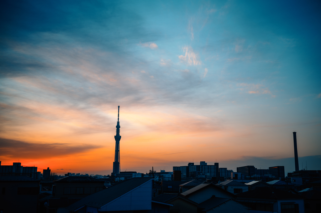 河川敷の風景〜6