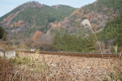 冬旅1