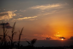 三番瀬の夕陽8