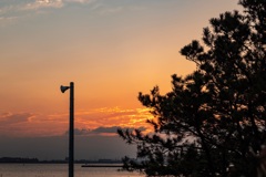 三番瀬の夕陽11