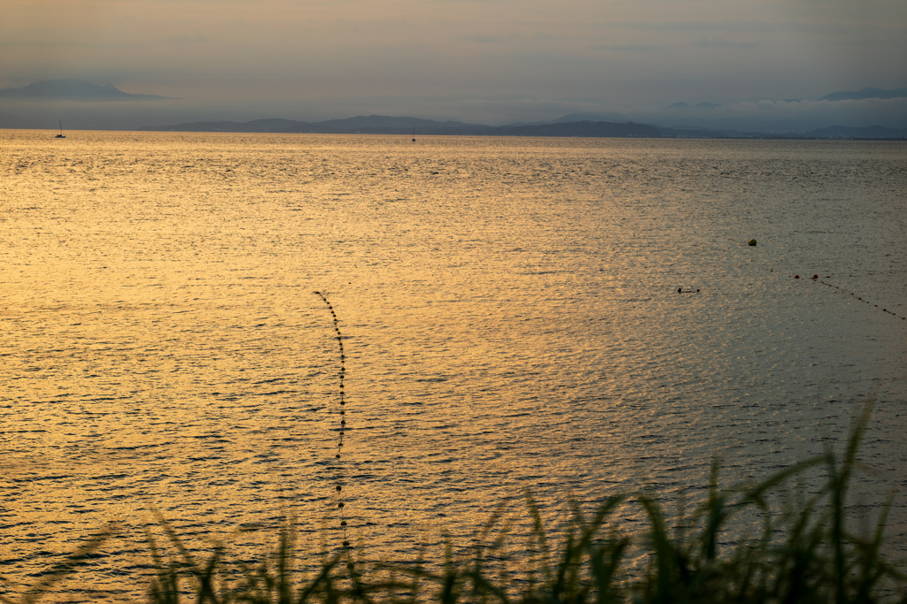 夕海1