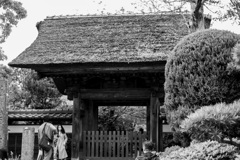 鎌倉散歩31