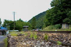 小湊鐵道にて9