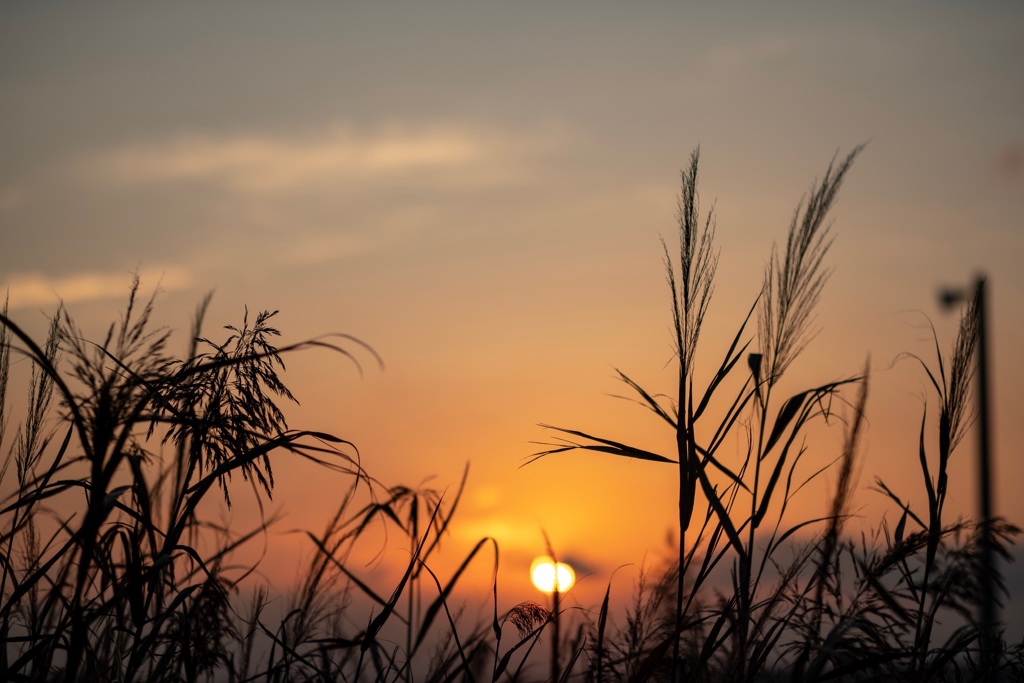 三番瀬の夕陽7