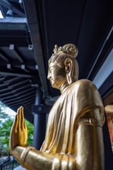 鎌倉散歩6