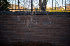 東山魁夷記念館にて〜2