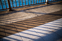 続、冬の散歩道〜6