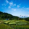 昔話の風景〜2