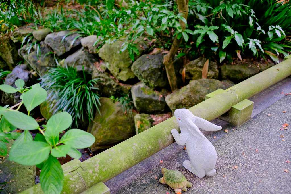 鎌倉より〜秋の風景-5