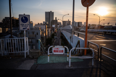 いつもの散歩道〜5