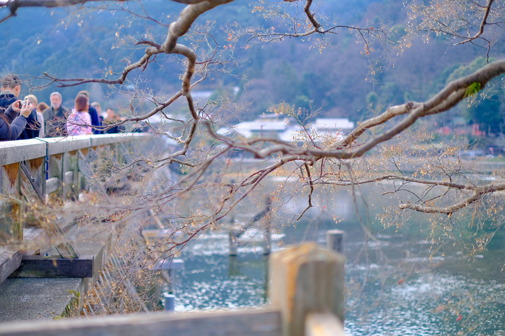 京都嵐山4